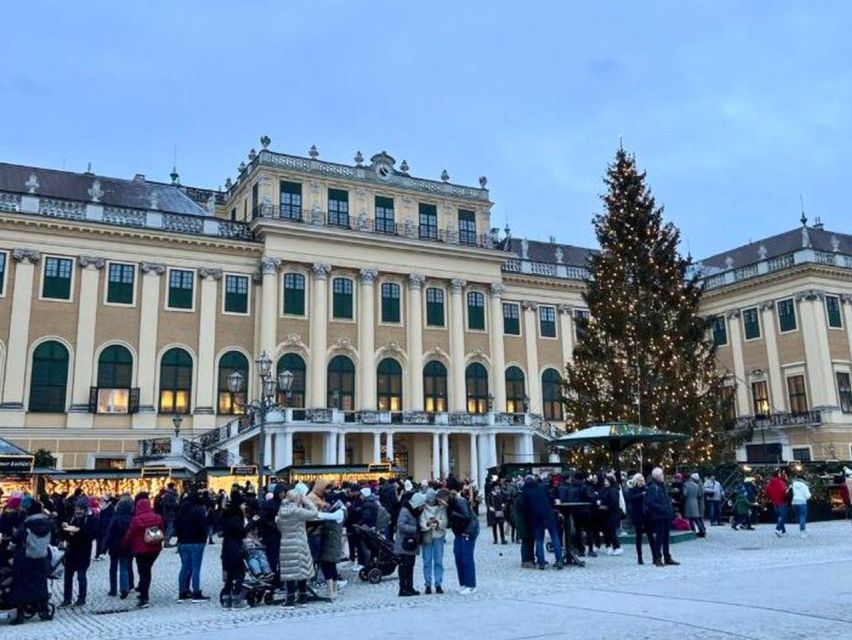 Vienna: Schönbrunn Palace & Christmas Market Walking Tour - Who Will Get the Most From This Tour