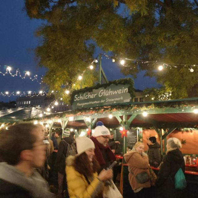 Vienna: Schönbrunn Palace & Christmas Market Walking Tour - Should You Book the Schönbrunn Christmas Market Tour?