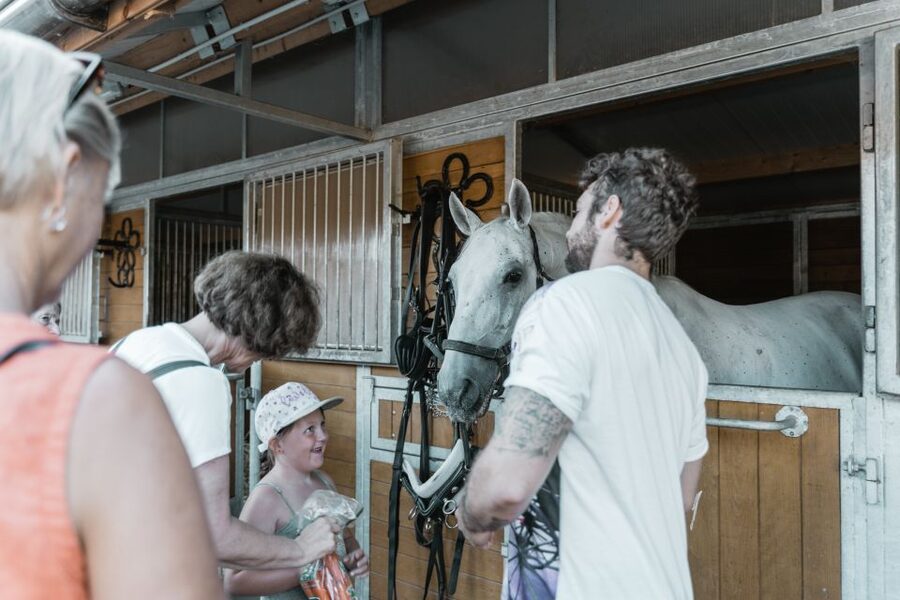 Vienna: Secrets of the Fiaker & Horse-Drawn Carriage Ride - Is $38 a good value?
