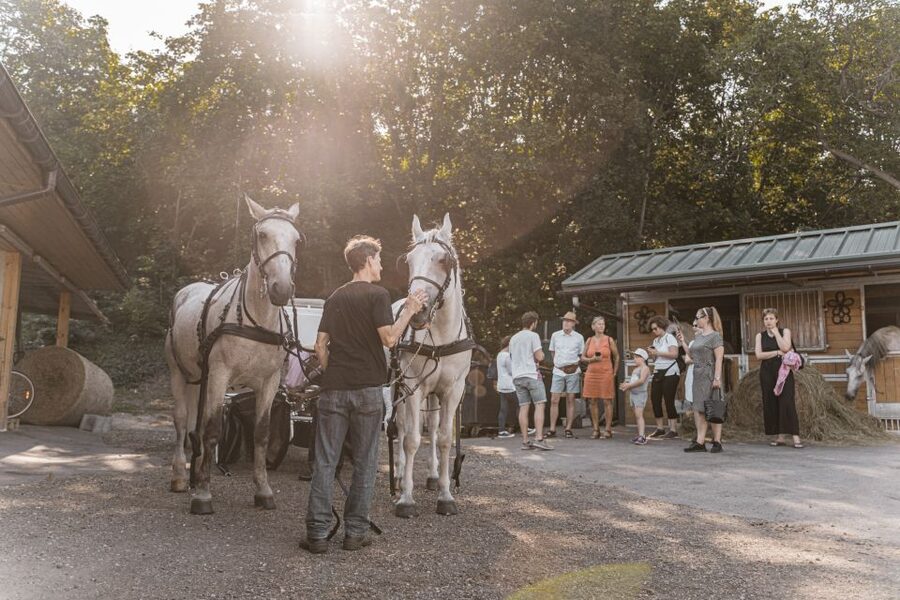 Vienna: Secrets of the Fiaker & Horse-Drawn Carriage Ride - Timing, clothing, and group size
