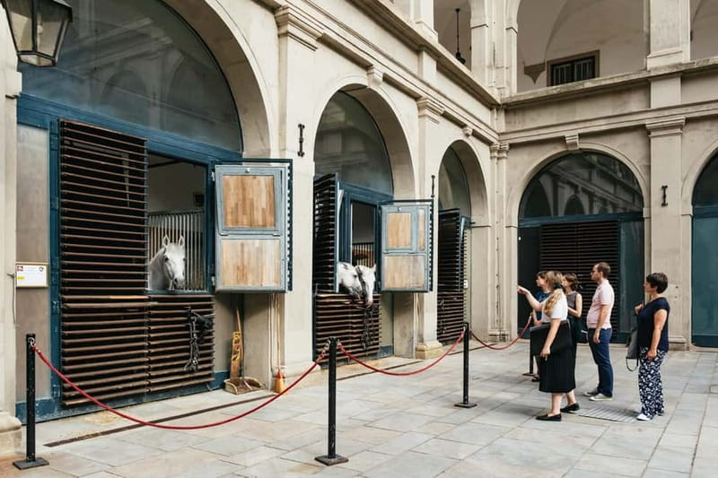 Vienna: Spanish Riding School Guided Architectural Tour - The Winter Riding School and Late Baroque design