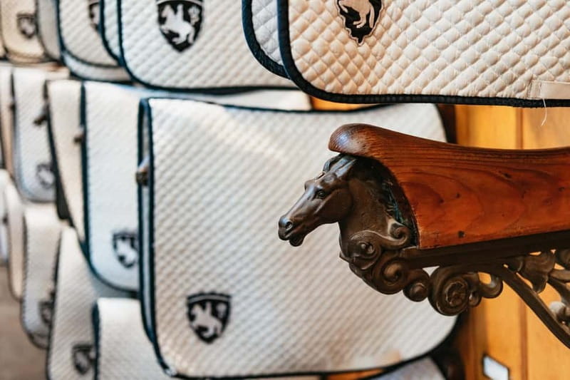 Vienna: Spanish Riding School Guided Architectural Tour - Who will enjoy this tour most?