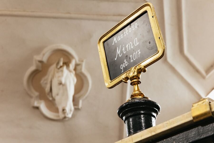 Vienna Spanish Riding School Guided Tour - Should You Book the Spanish Riding School Tour?