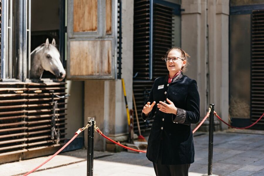 Vienna Spanish Riding School Guided Tour - The Tack Room and the Tools of the Trade