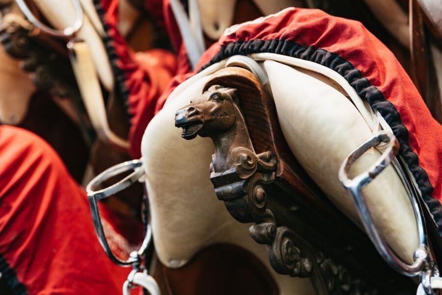Vienna Spanish Riding School Guided Tour - Who Will Enjoy This Tour Most