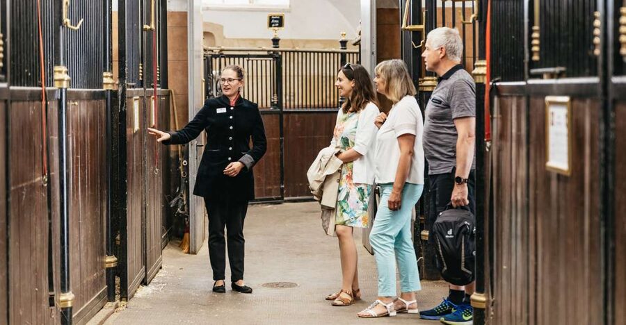 Vienna Spanish Riding School Guided Tour - The Stallburg, Vienna’s Renaissance Horse Home
