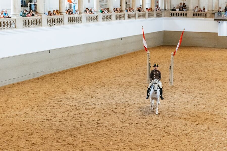 Vienna: Spanish Riding School Training - Is $20 good value?