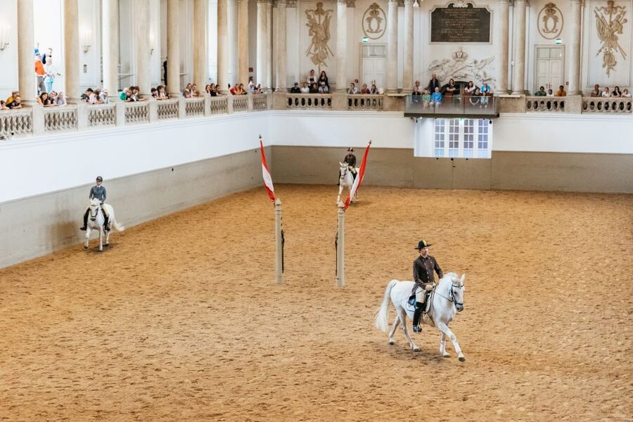 Vienna: Spanish Riding School Training - What happens during the one-hour session
