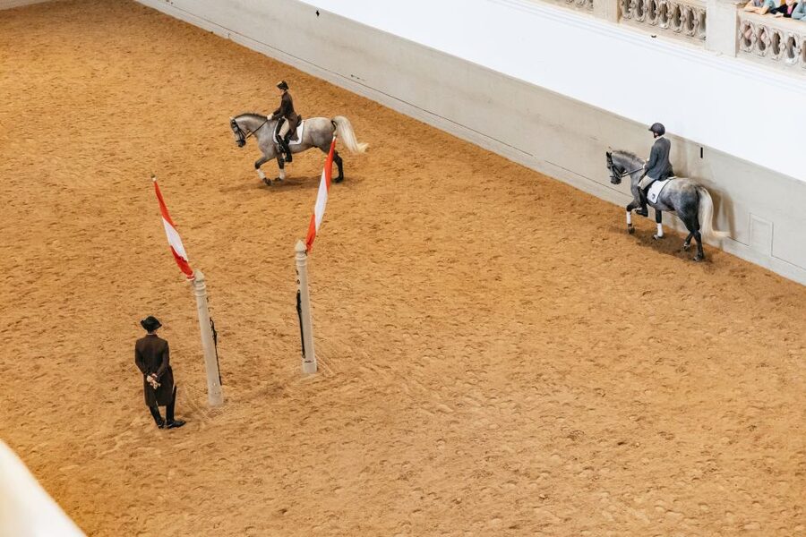 Vienna: Spanish Riding School Training - How much information will you hear?