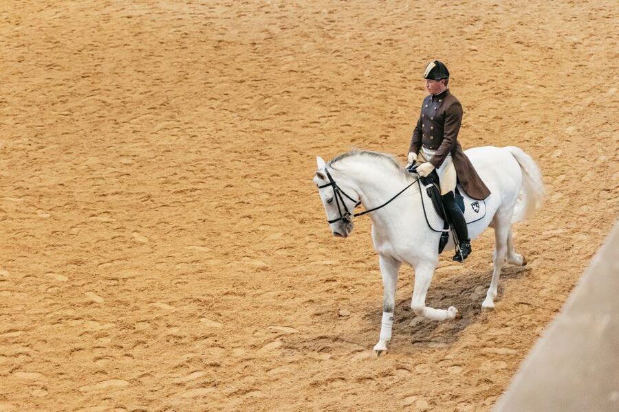 Vienna: Spanish Riding School Training - Practical arrival advice inside the palace complex