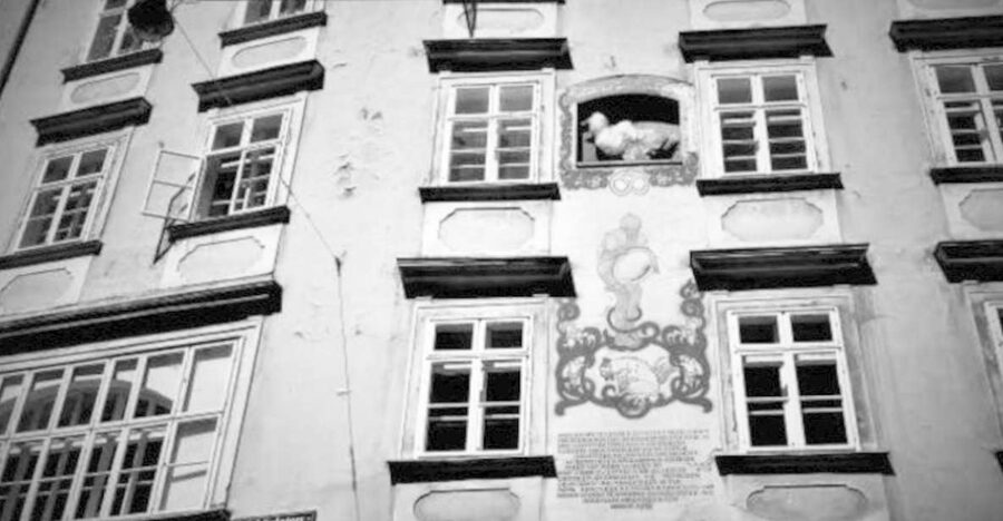 Vienna: Spooky Ghost Tour in English - Key points at a glance