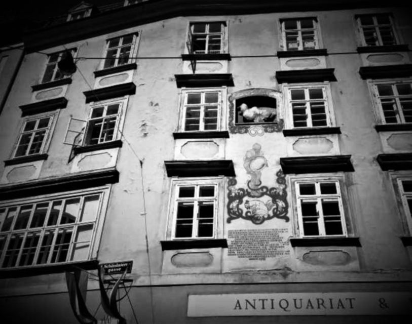 Vienna: Spooky Ghost Tour in English - Why Vienna’s dark side makes a good walking tour