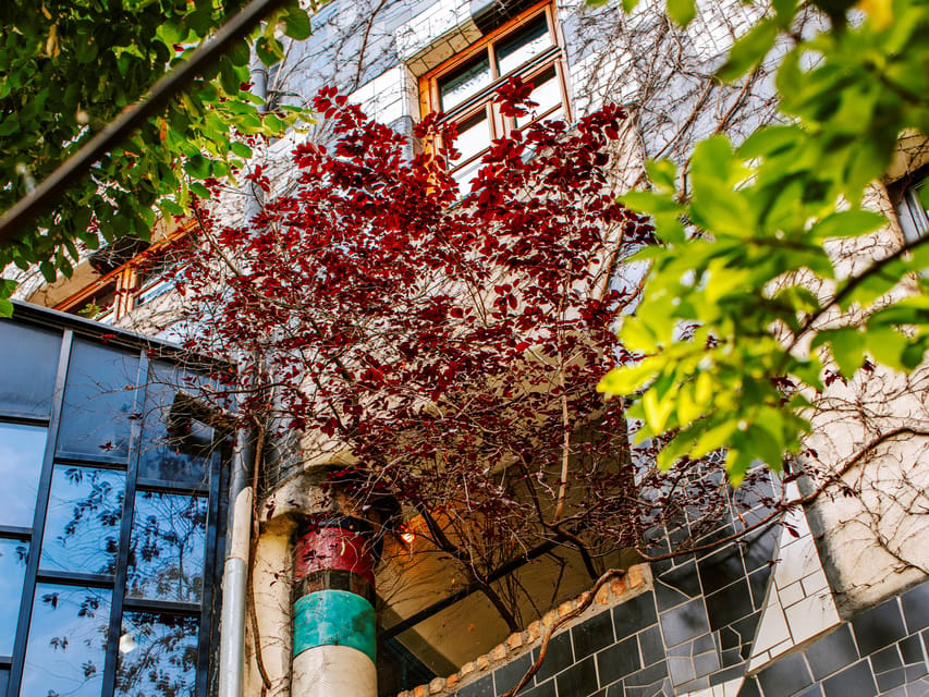 Vienna: Tickets for Kunst Haus Wien: Museum Hundertwasser - What I would not miss