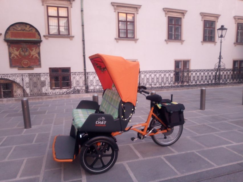 Vienna: Tour RAXI (electric rickshaw) 3 hours in Vienna - Starting in Vienna’s historic center