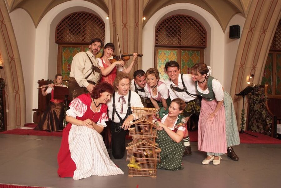 Vienna: Traditional Dinner Show at the Wiener Rathauskeller - Wheelchair access and simple booking terms