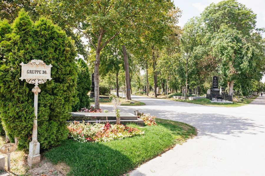 Vienna: Vienna Central Cemetery Guided Walking Tour - What makes a guided visit worth the price