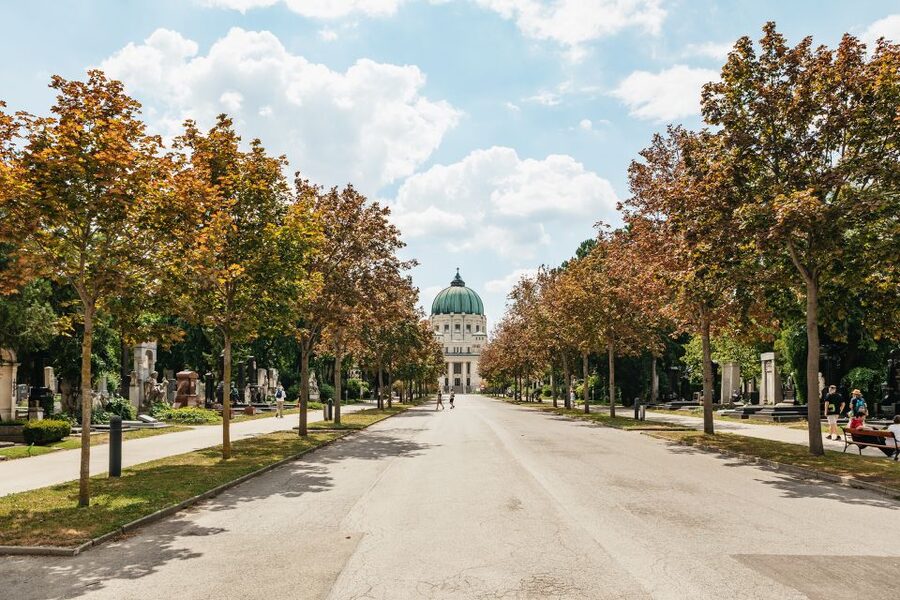 Vienna: Vienna Central Cemetery Guided Walking Tour - Who should book this Vienna cemetery tour