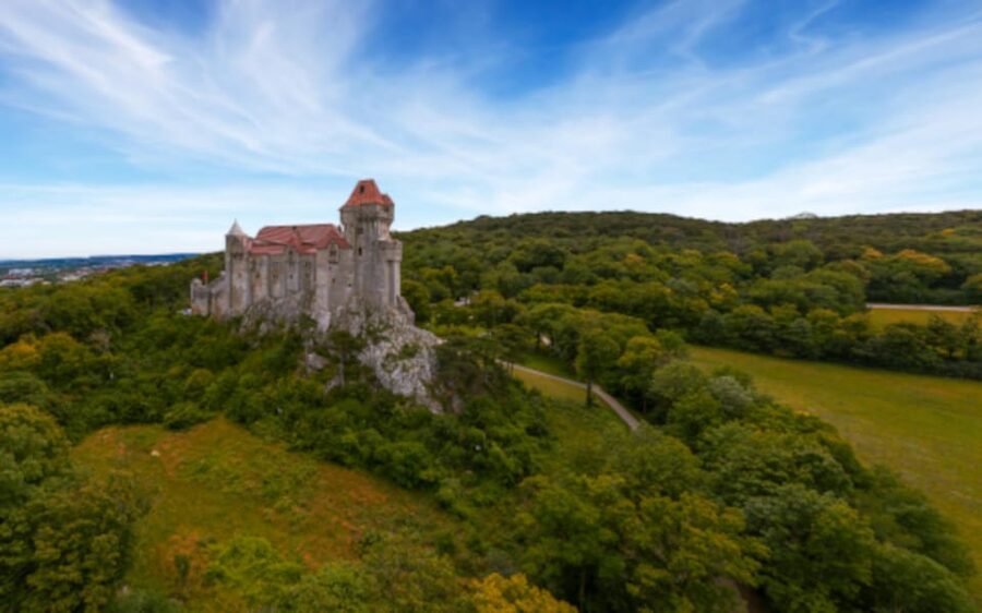 Vienna: Vienna Woods Tour with Underground Lake and Wine - Who should book this half-day outing