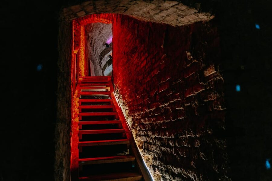 Vienna: Viennese Underworld Guided Walking Tour - Entering Vienna’s private cellars
