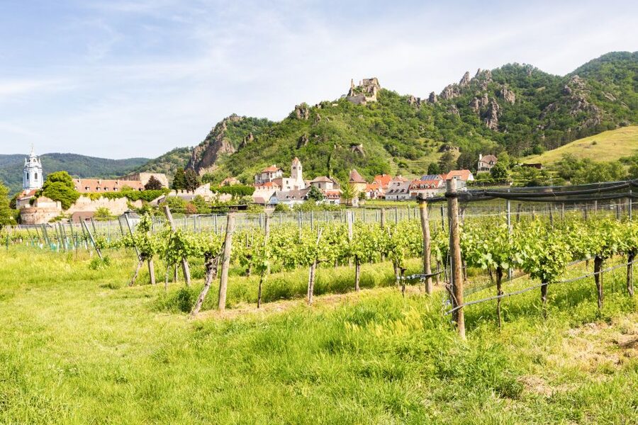 Vienna: Wachau Valley, Melk Abbey Tour with Danube Boat Trip - The summer boat ride on the Blue Danube