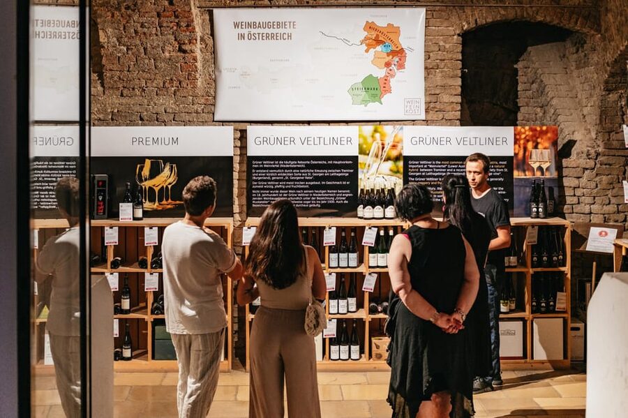 Vienna: Wine Tasting Experience in a Private Wine Cellar - How the history adds meaning to the wine