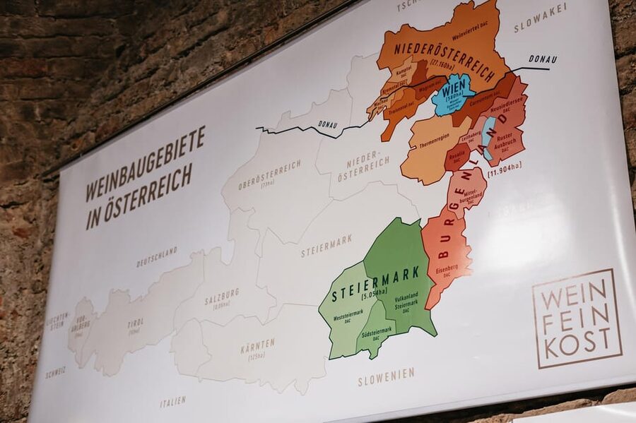 Vienna: Wine Tasting Experience in a Private Wine Cellar - What the experience does well