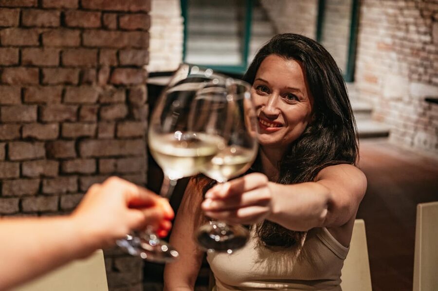 Vienna: Wine Tasting Experience in a Private Wine Cellar - Who should book this Vienna wine experience?