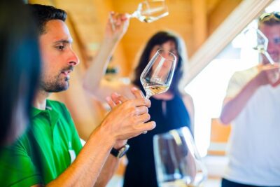 Wachau Valley Small-Group Tour and Wine Tasting from Vienna