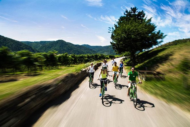 Wachau Valley Wine Tasting Bike Tour from Vienna - Two wine tastings, with local character