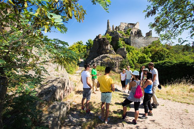 Wachau Valley Wine Tasting Bike Tour from Vienna - Who will enjoy this Wachau bike tour?