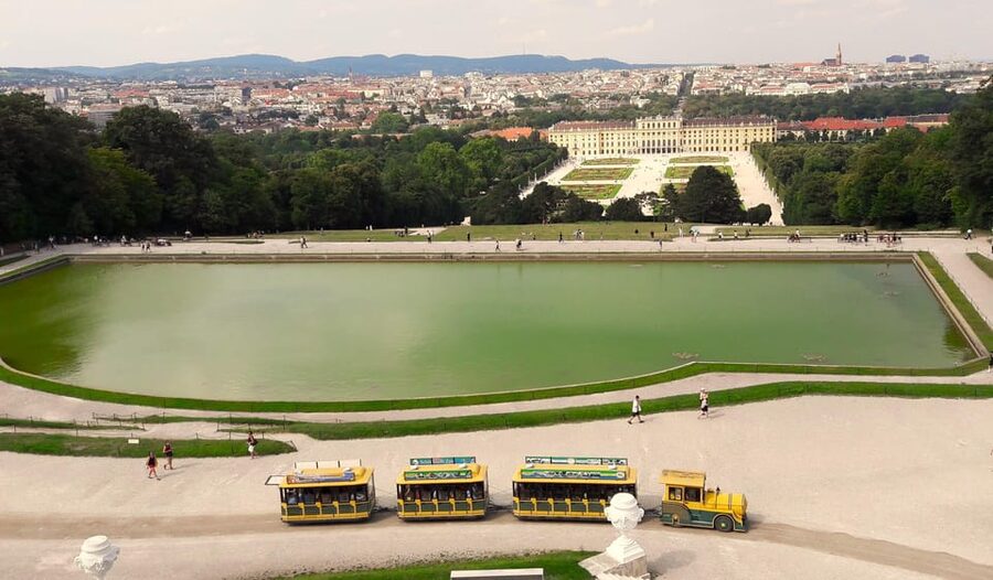 Wien: Tours with locals by public transport & walking - Why Vienna by public transport makes sense
